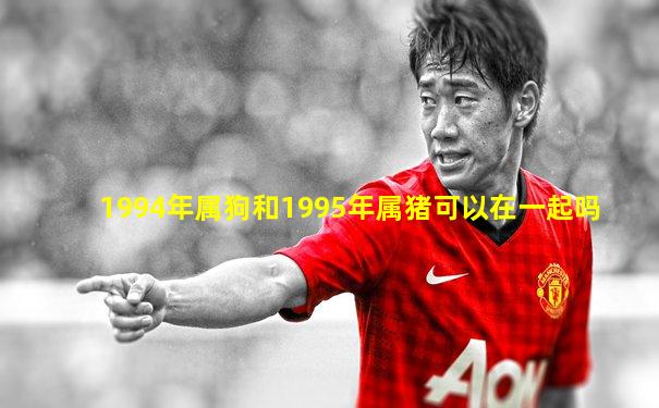 1994年属狗和1995年属猪可以在一起吗