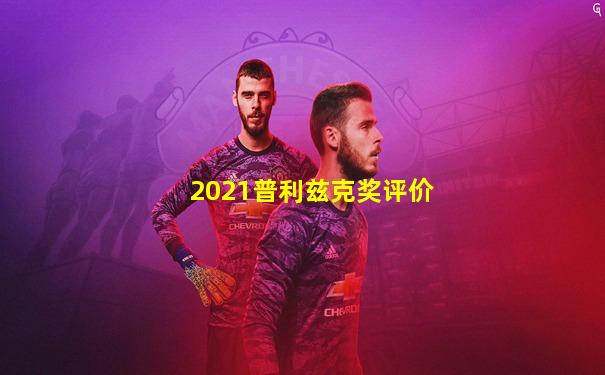 2021普利兹克奖评价