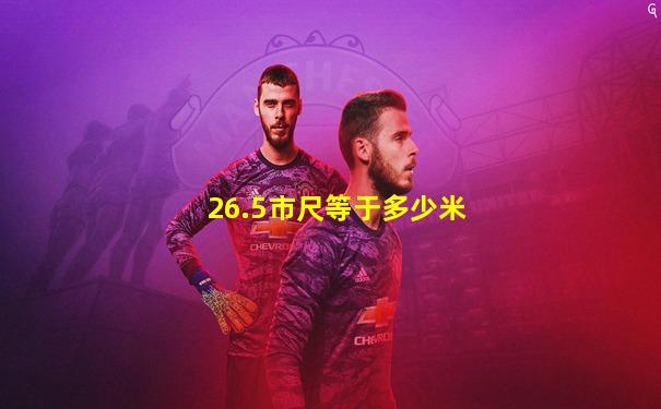 26.5市尺等于多少米