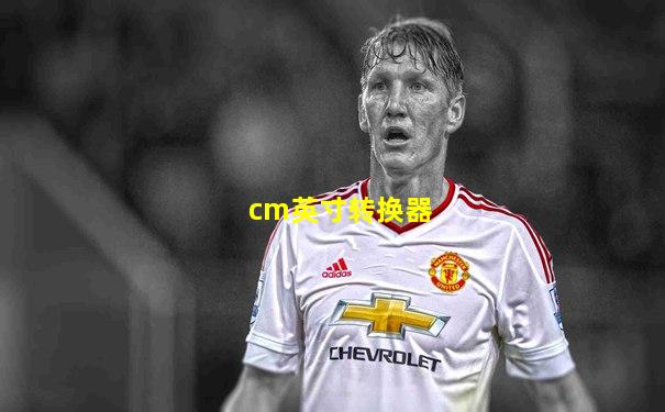 cm英寸转换器