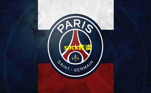 sock咋读