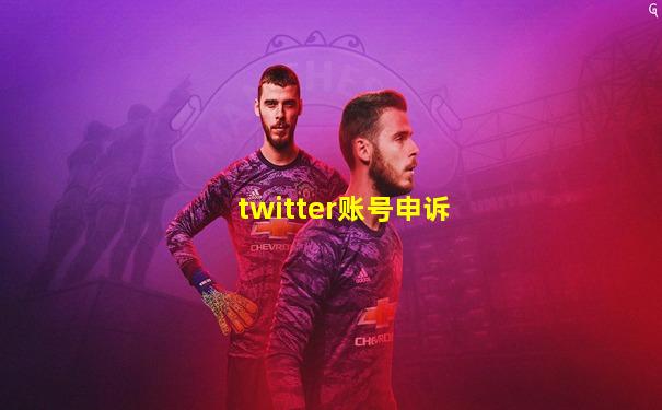 twitter账号申诉