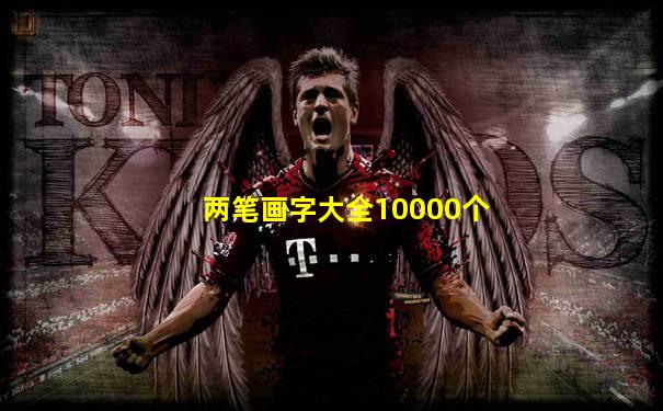 两笔画字大全10000个