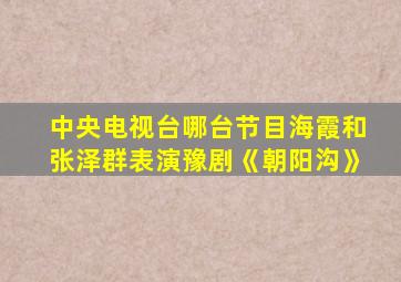 中央电视台哪台节目海霞和张泽群表演豫剧《朝阳沟》