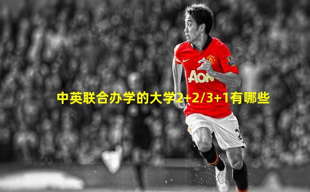 中英联合办学的大学2+2/3+1有哪些