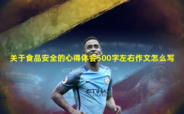 关于食品安全的心得体会500字左右作文怎么写