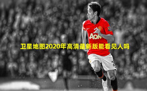 卫星地图2020年高清最新版能看见人吗