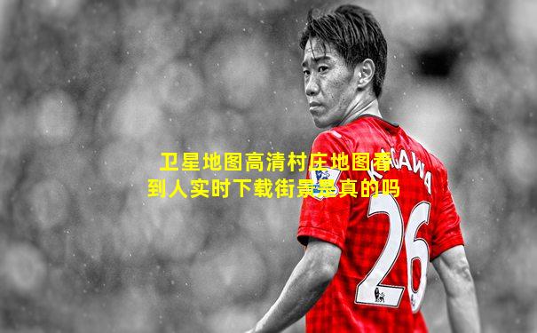 卫星地图高清村庄地图看到人实时下载街景是真的吗