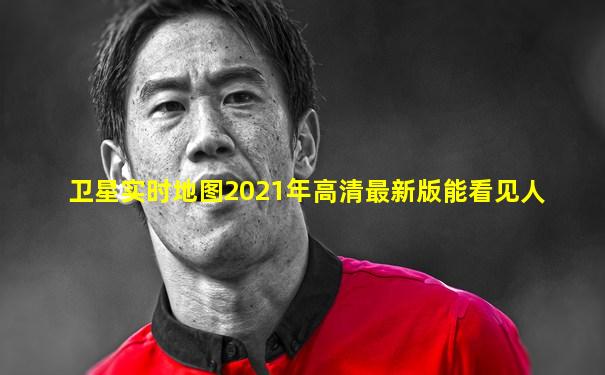 卫星实时地图2021年高清最新版能看见人