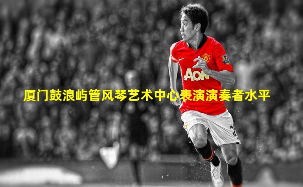 厦门鼓浪屿管风琴艺术中心表演演奏者水平