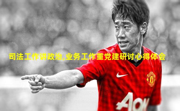 司法工作讲政治,业务工作重党建研讨心得体会