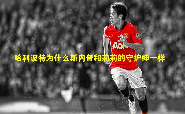 哈利波特为什么斯内普和莉莉的守护神一样