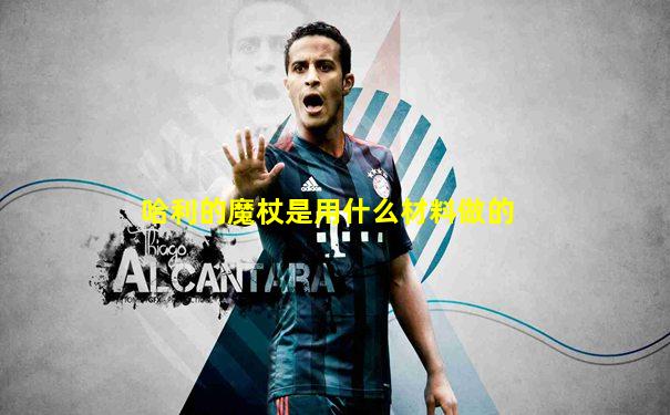 哈利的魔杖是用什么材料做的