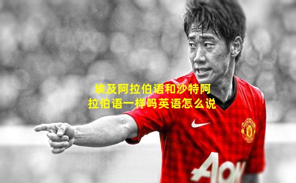 埃及阿拉伯语和沙特阿拉伯语一样吗英语怎么说