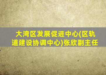 大湾区发展促进中心(区轨道建设协调中心)张欣副主任