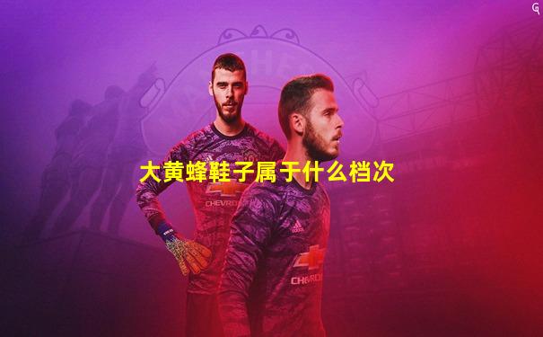 大黄蜂鞋子属于什么档次