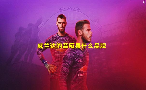 威兰达的音箱是什么品牌
