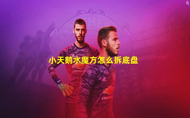 小天鹅水魔方怎么拆底盘