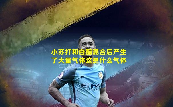 小苏打和白醋混合后产生了大量气体这是什么气体