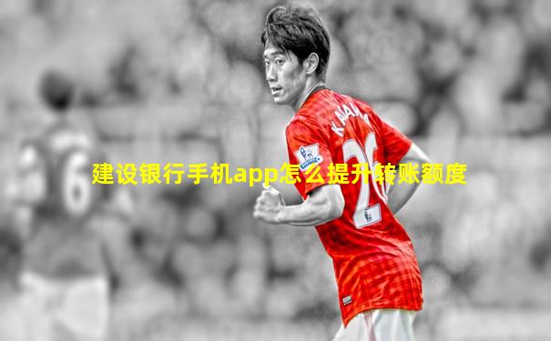 建设银行手机app怎么提升转账额度