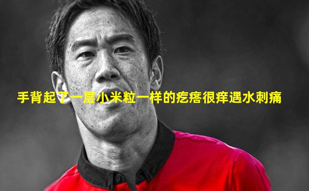 手背起了一层小米粒一样的疙瘩很痒遇水刺痛