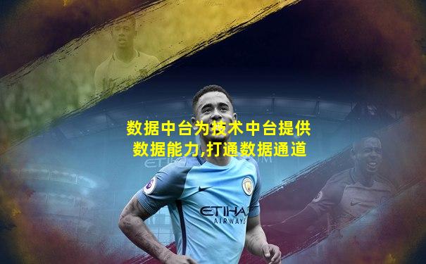 数据中台为技术中台提供数据能力,打通数据通道