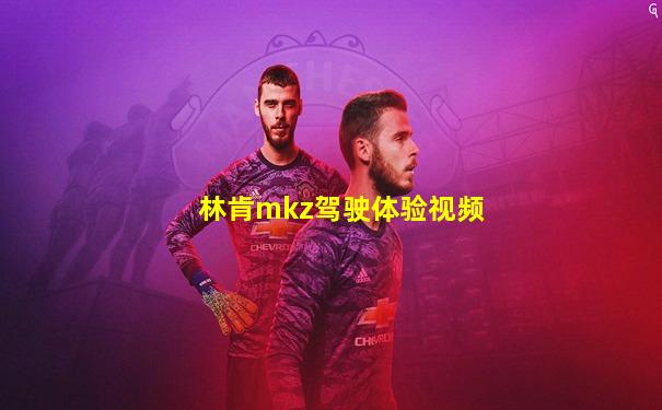 林肯mkz驾驶体验视频
