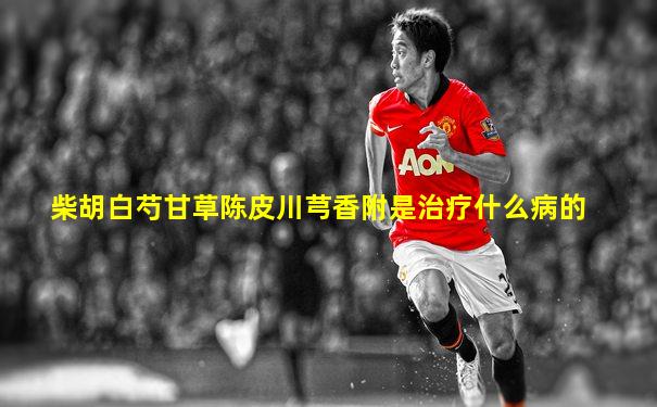 柴胡白芍甘草陈皮川芎香附是治疗什么病的