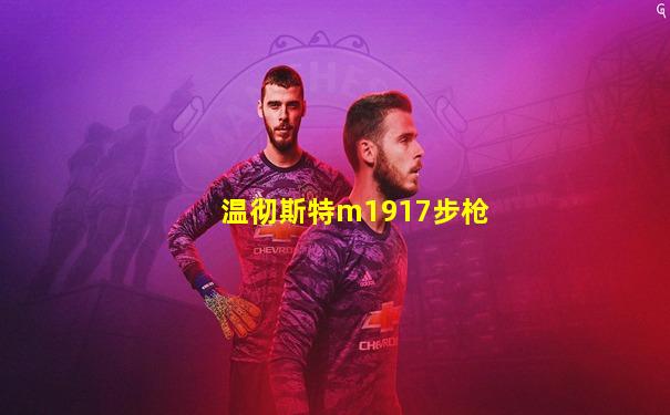 温彻斯特m1917步枪