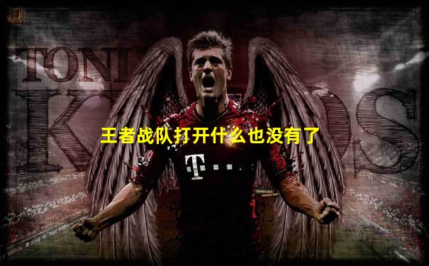 王者战队打开什么也没有了