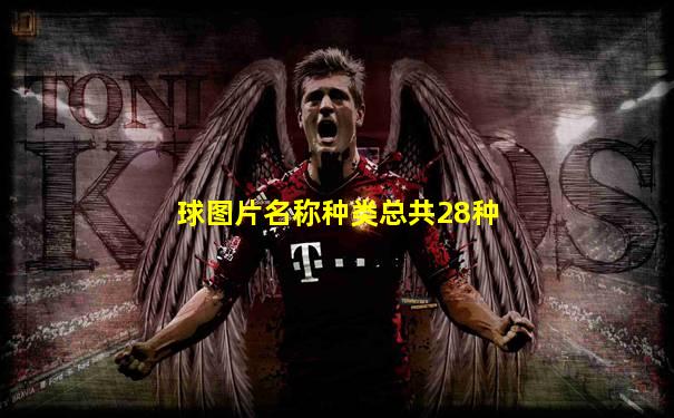 球图片名称种类总共28种