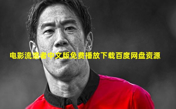 电影流浪者中文版免费播放下载百度网盘资源