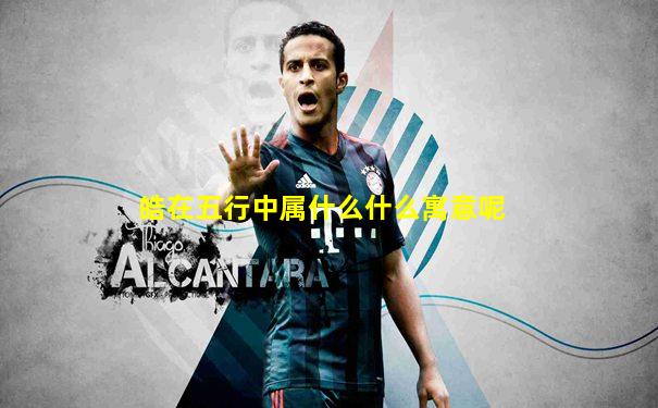皓在五行中属什么什么寓意呢
