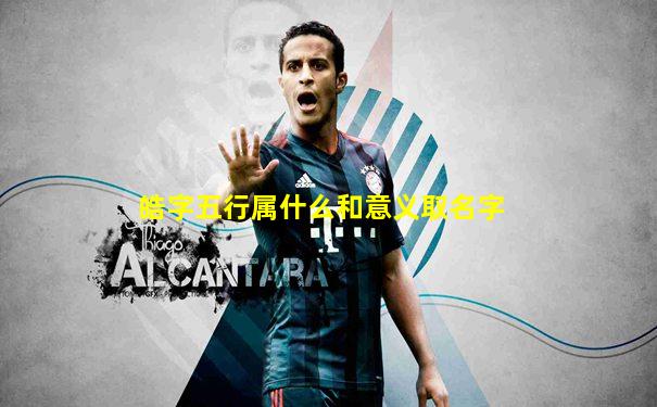 皓字五行属什么和意义取名字