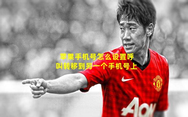 苹果手机号怎么设置呼叫转移到另一个手机号上