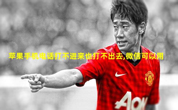苹果手机电话打不进来也打不出去,微信可以用