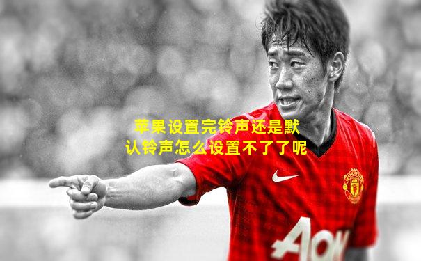 苹果设置完铃声还是默认铃声怎么设置不了了呢