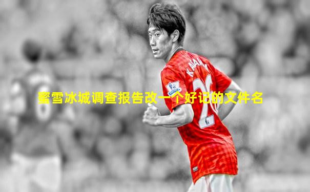 蜜雪冰城调查报告改一个好记的文件名