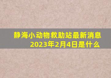 静海小动物救助站最新消息2023年2月4日是什么