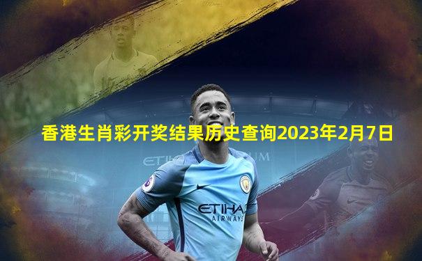 香港生肖彩开奖结果历史查询2023年2月7日