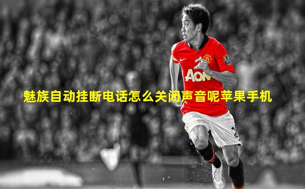 魅族自动挂断电话怎么关闭声音呢苹果手机