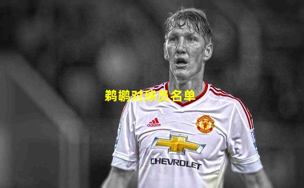 鹈鹕对球员名单