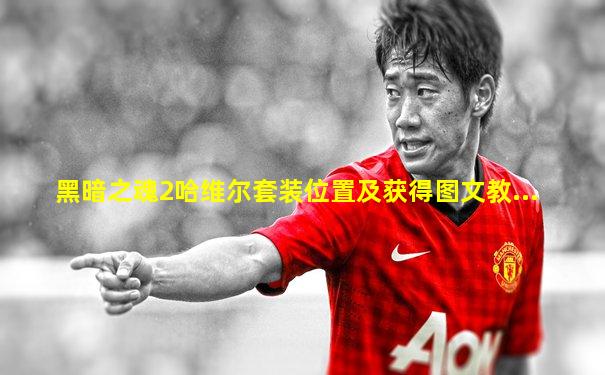 黑暗之魂2哈维尔套装位置及获得图文教...