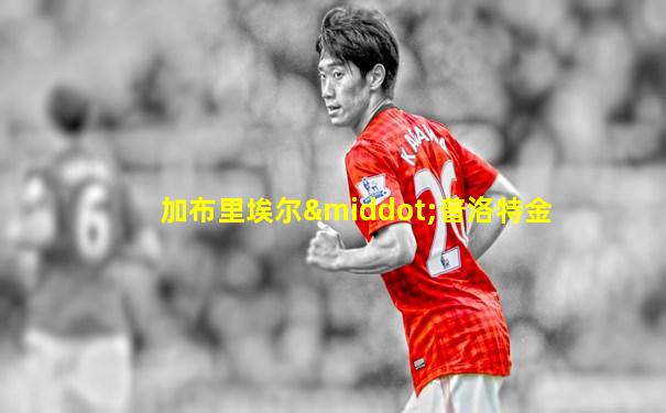加布里埃尔·普洛特金