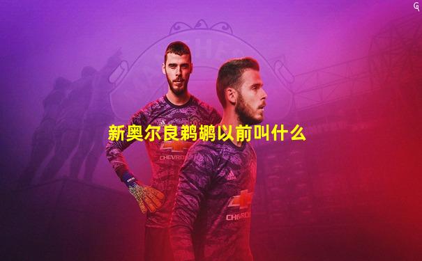 新奥尔良鹈鹕以前叫什么